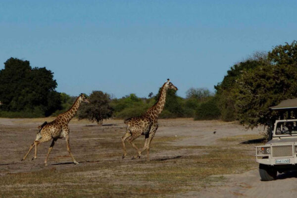 10 Days Northern Kenya Explorer Safari 10 Days Northern Kenya Explorer Safari