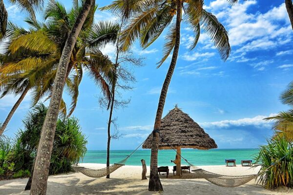 11-Day Tanzania Midrange Safari + Zanzibar Beach