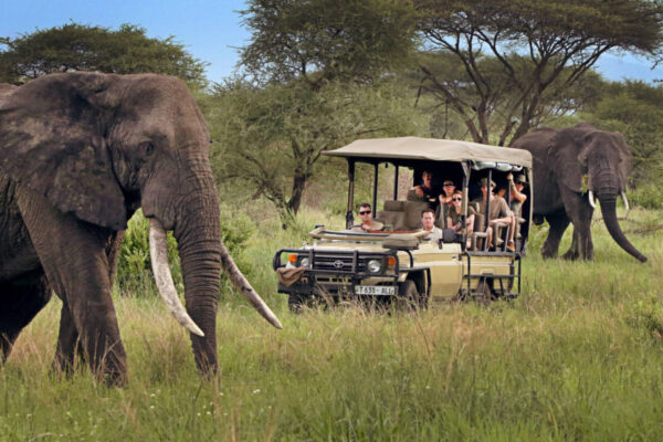 11 Days Kenya Extended Wildlife Safari 11 Days Kenya Extended Wildlife Safari