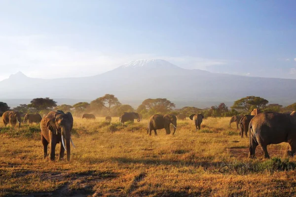 12 Days Kenya Classic and Northern Safari 12 Days Kenya Classic and Northern Safari