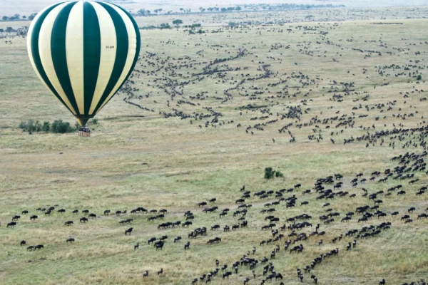 13 Days Kenya Luxury Wildlife Journey 13 Days Kenya Luxury Wildlife Journey