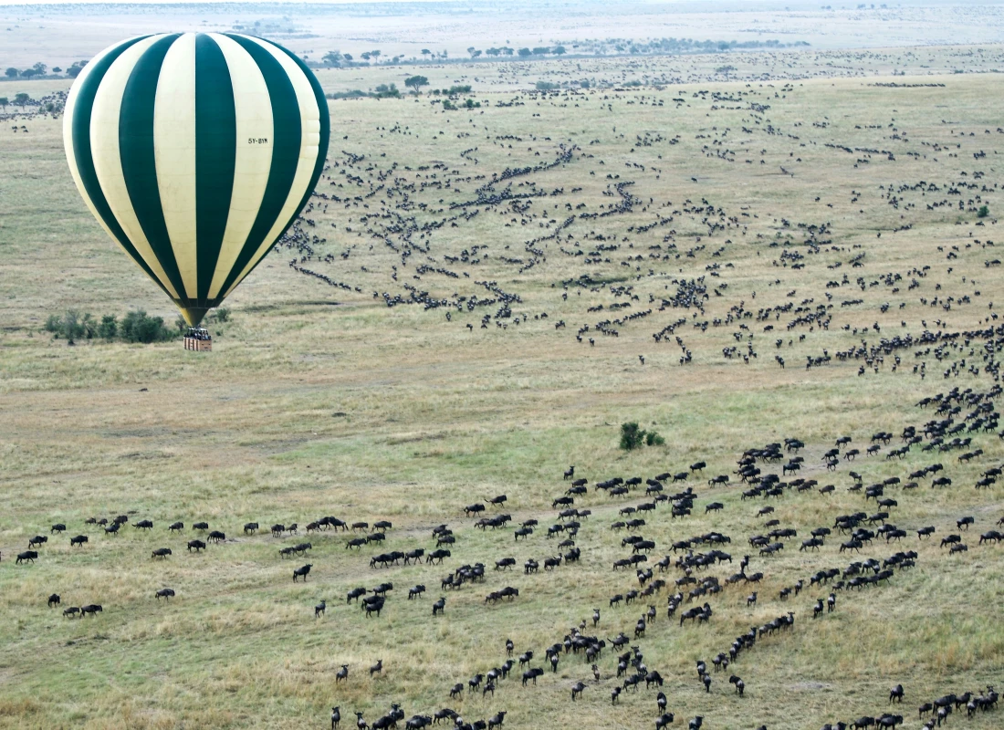 13 Days Kenya Luxury Wildlife Journey