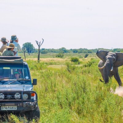 15-Day Uganda Game Drives Safari2 15-Day Uganda Game Drives Safari