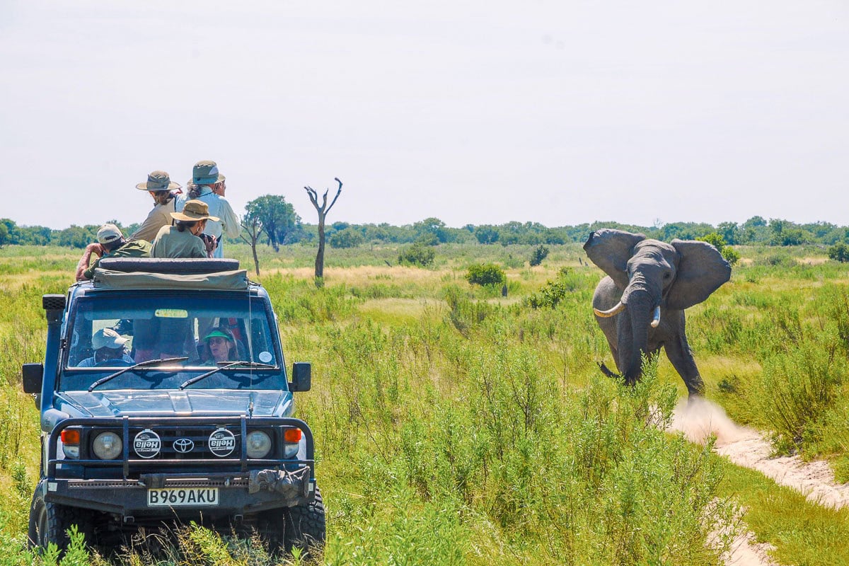15-Day Uganda Game Drives Safari