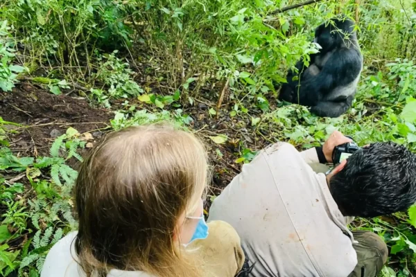 7-Day Rwanda Gorilla Tour and Wildlife Safari 7-Day Rwanda Gorilla Tour and Wildlife Safari