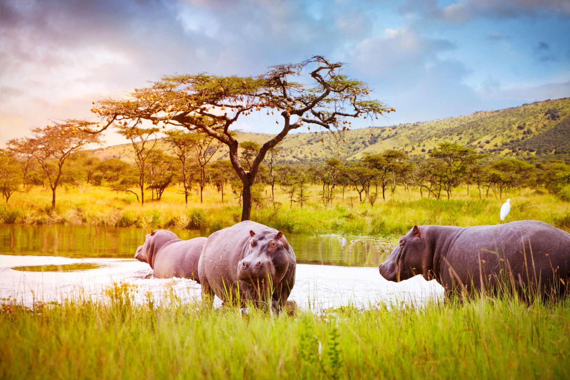 10 Days Rwanda Gorillas & Wildlife Safari