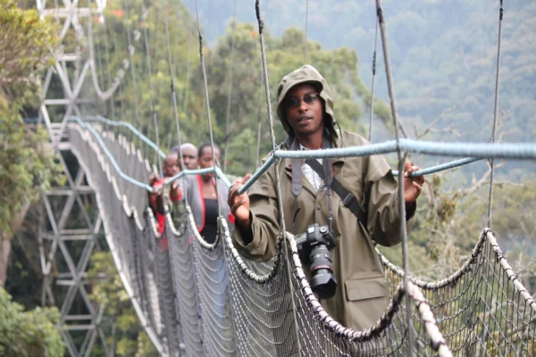 7-Day Rwanda Wildlife Safari, Chimps & Canopy Walk Tour 7-Day Rwanda Wildlife Safari, Chimps & Canopy Walk Tour