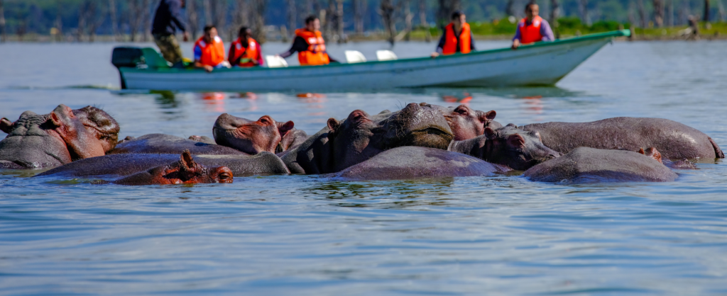 Lake Naivasha National Park