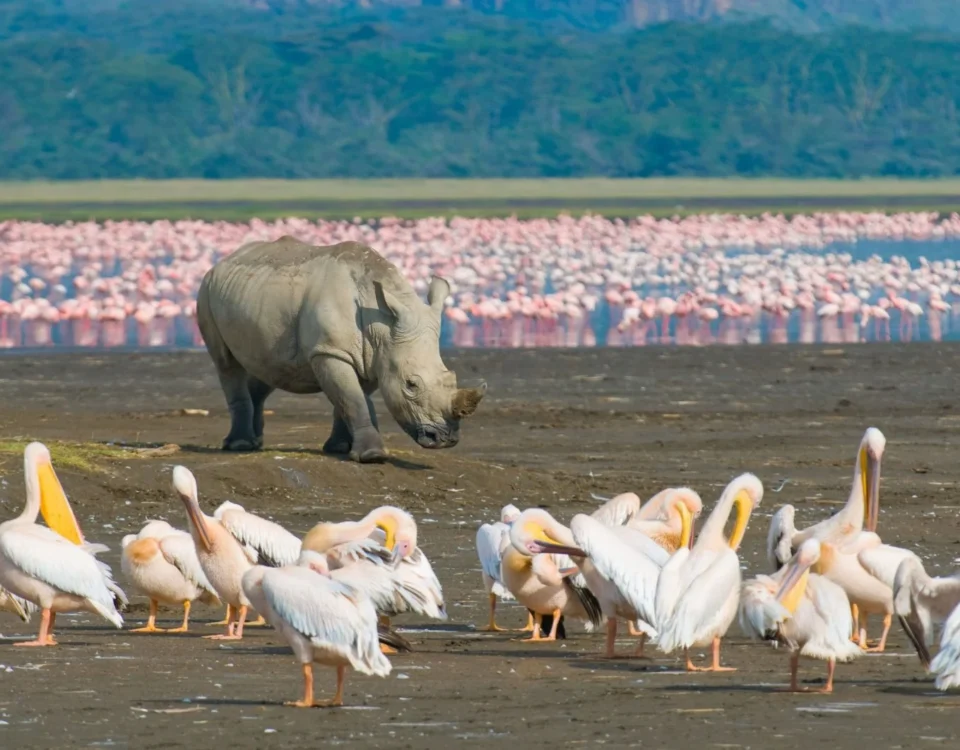 6 Days Kenya Great Rift Valley Safari