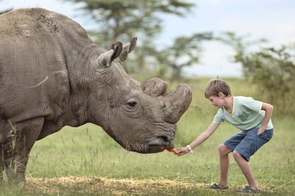 Ol-Pejeta-conservancy-1 Ol-Pejeta-conservancy-1