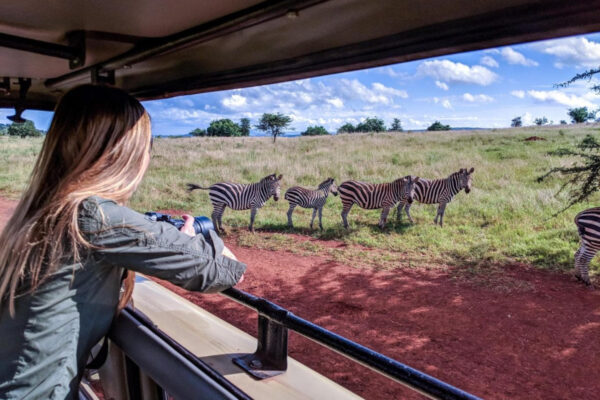 Serengeti Game Drives 6-Day Tanzania Camping Safari
