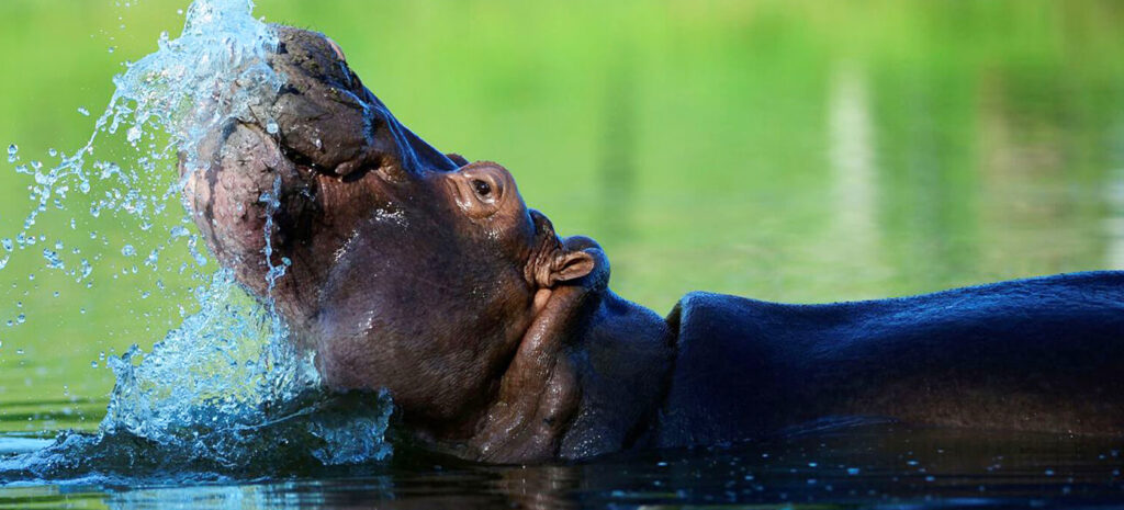 Udzungwa National Park