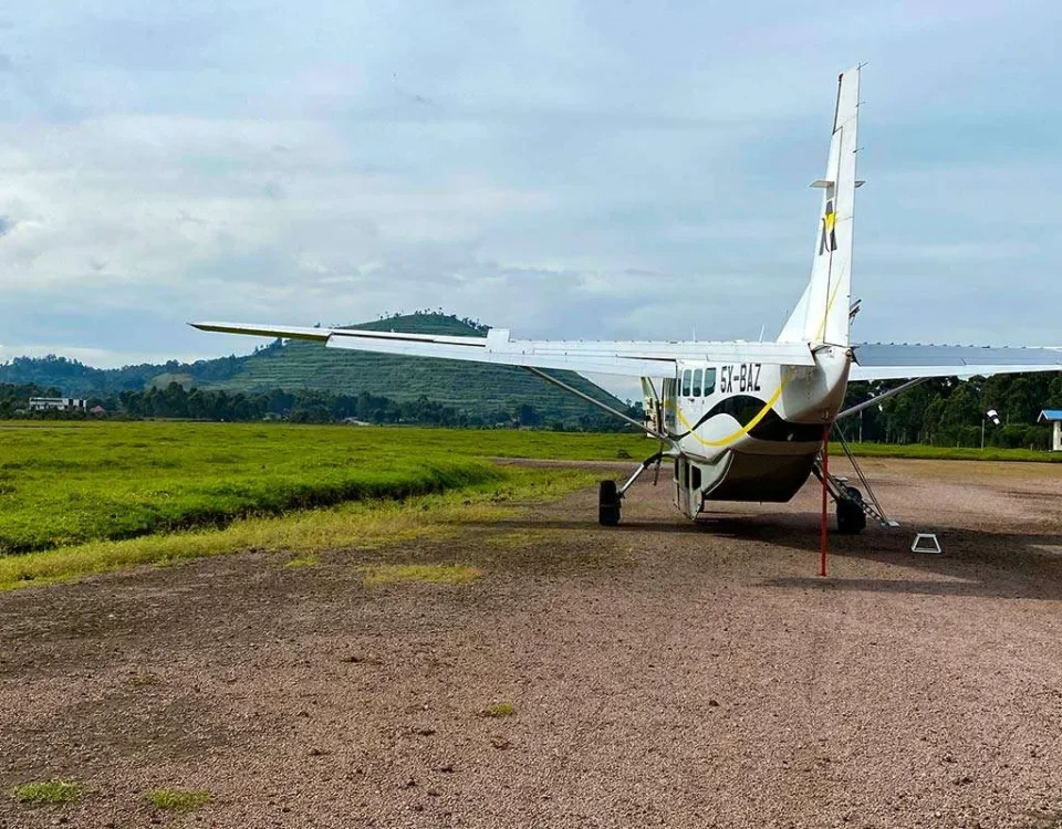 Uganda Fly-in Safaris