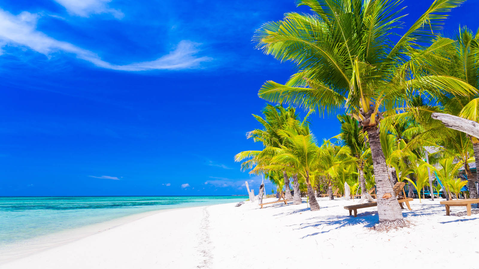 Tanzania Beach Safaris