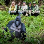 Bushaho Gorilla Family